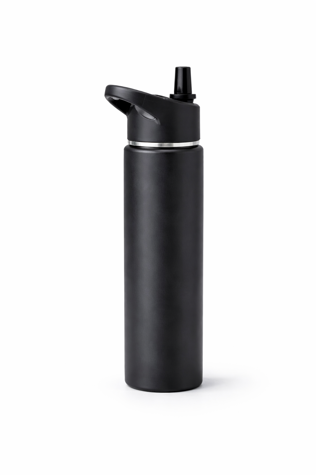 ActiveSteel 22oz Stainless Steel Bottle